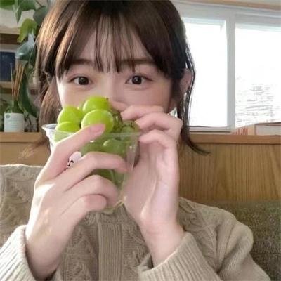 理想国