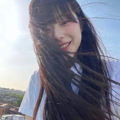 救援狗